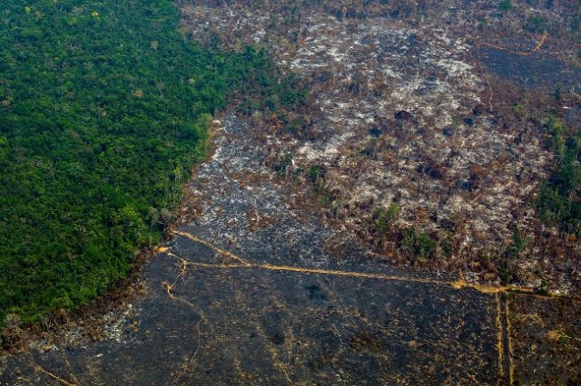tại sao phải đặt vấn đề bảo vệ rừng amazon